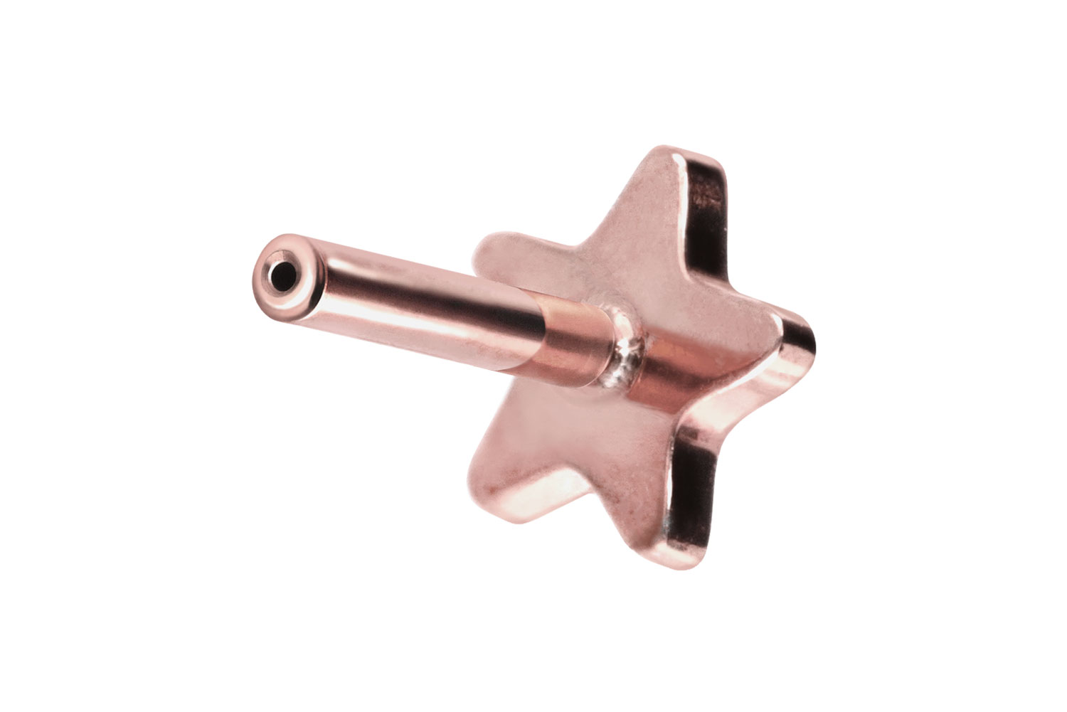 Titan Labret Piercing mit Push Fit ohne Kugel STERN